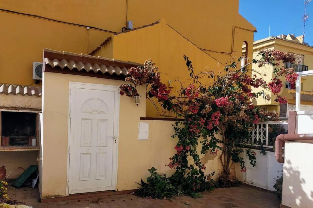 Mar Azul Adosado, Patio Y Solarium Διαμέρισμα Τορεβιέχα Εξωτερικό φωτογραφία